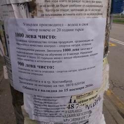 Публикуваха странна обява за работа, която изненада перничани 10_1477314491 сн: perniknews.com Публикуваха странна обява за работа, която изненада перничани 10_1477314491