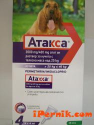 атакса пипети за кучета от 25 до 40кг 1482512471 атакса пипети за кучета от 25 до 40кг 1482512471