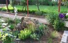Райски кът в частен двор в село Кралев дол