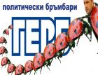 политически бръмбари