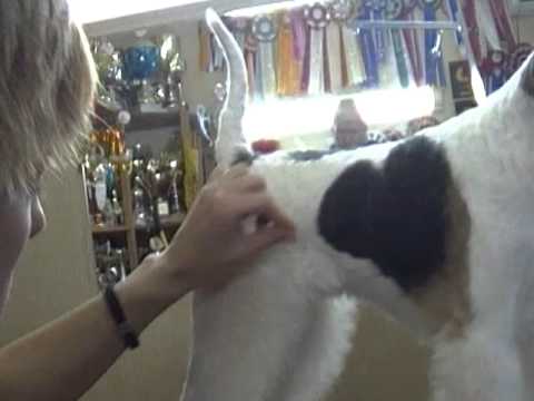 See video
