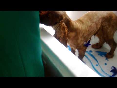 See video