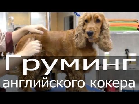 See video